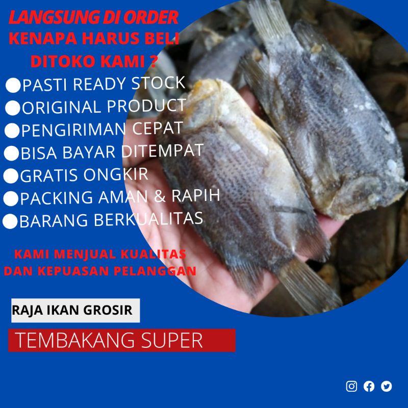

IKAN ASIN MURAH BAGUS TEMBAKANG 250 Gram
