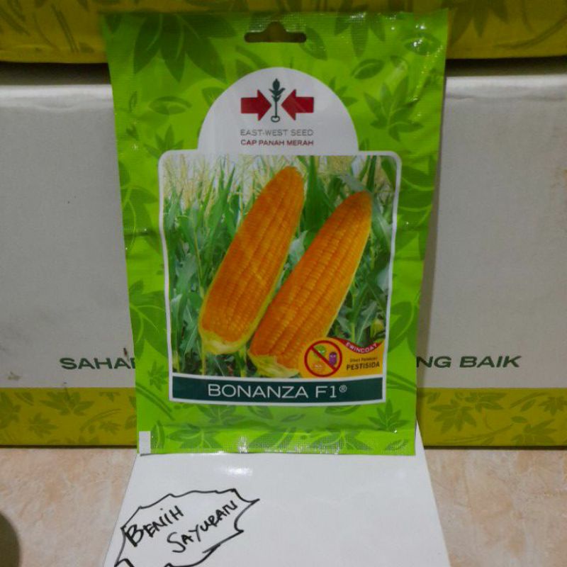 Benih Jagung Manis Bonanza F1 isi 200 butir