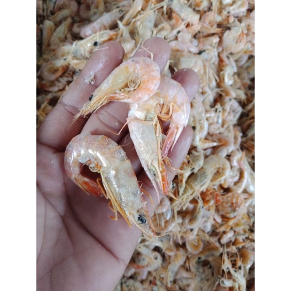 

udang EBI asin fresh ; 500 gram BEST SELER