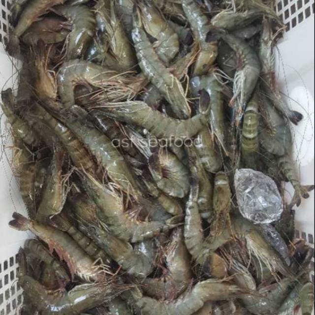 

Ay00! Udang Windu / Pancet aka 30-35 reguler 500gr