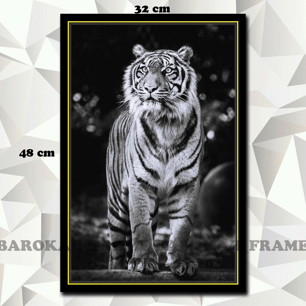 Hiasan dinding Macan Putih Harimau Putih Foto Gambar Poster Bingkai  32x48cm