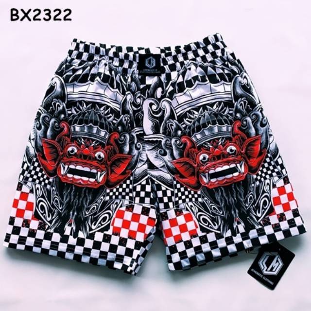 boxer vans boxer vans