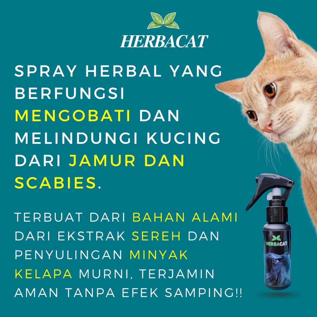 Obat Jamur Kucing Herbal Alami Mengatasi Scabies Ringworm Gatal Bulu Kucing HERBACAT Spray Aman Untuk Kitten Kucing hamil Menyusui Tanpa Efek Samping Bersihkan Jamur