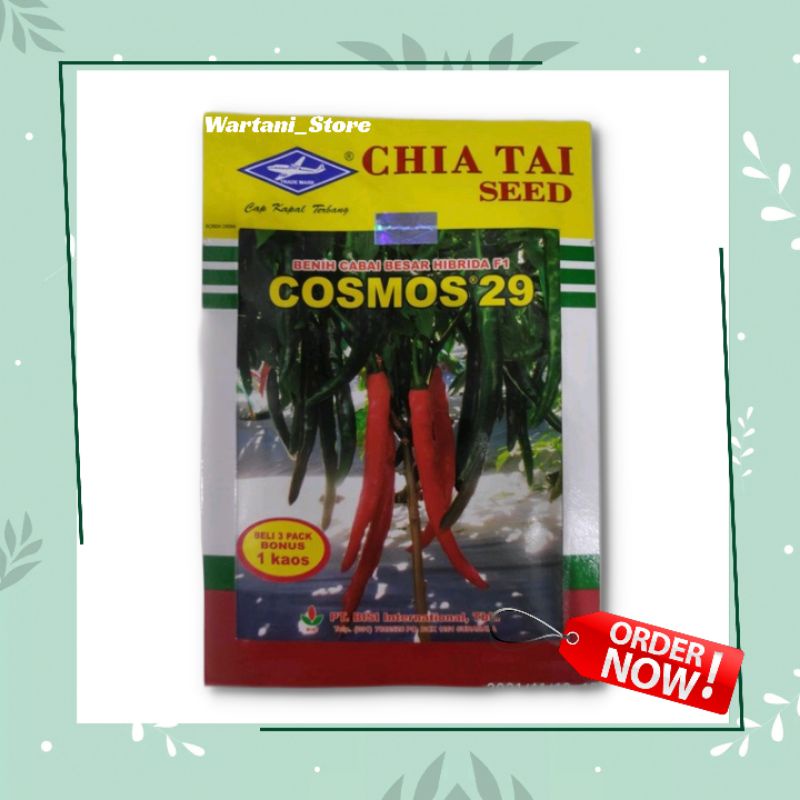 Benih cabe besar hibrida f1 - Cosmos 29