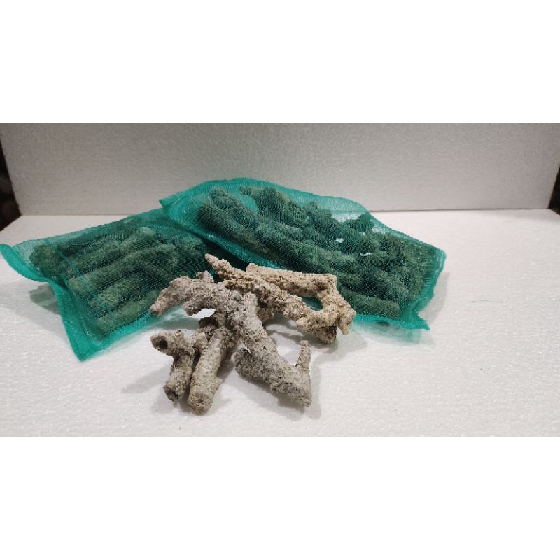 filter karang jahe per pack batu karang jahe filterisasi karang jahe