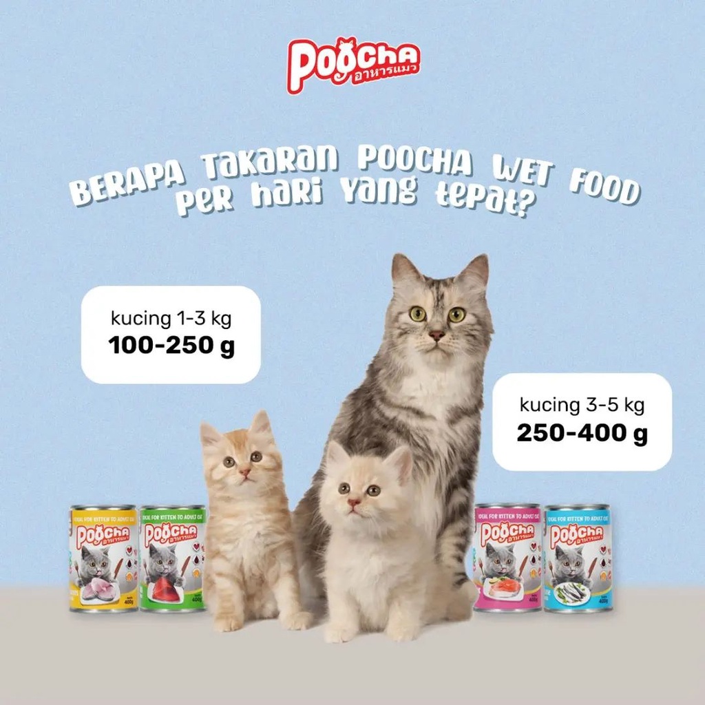 POOCHA Kaleng Makanan Basah Ekonomis Makanan Kaleng Kucing 400 Gram Cat Food Wet Food