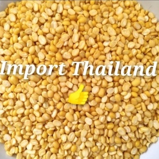 

kacang hijau kupas 250gr