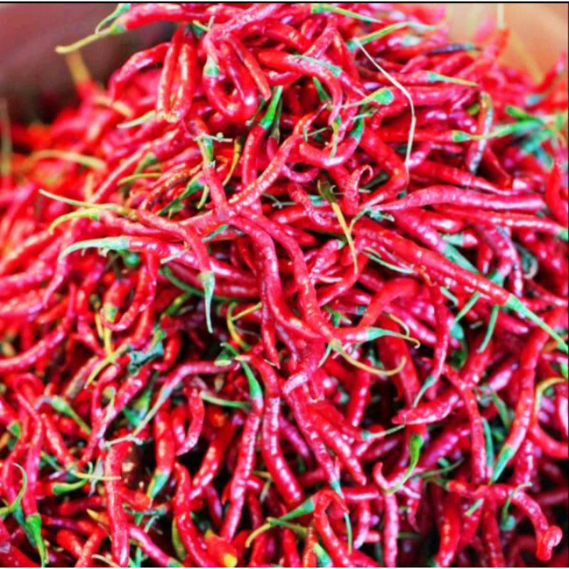 

Cabe Merah Keriting Cabai Merah Segar