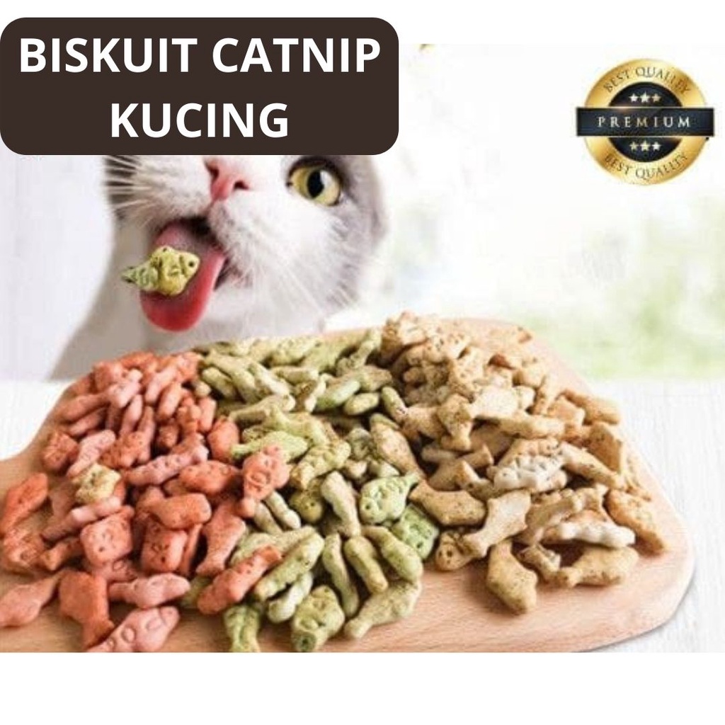 Snack Biskuit Catnip Dengan Aneka Rasa Khusus Buat Kucing FEZONE