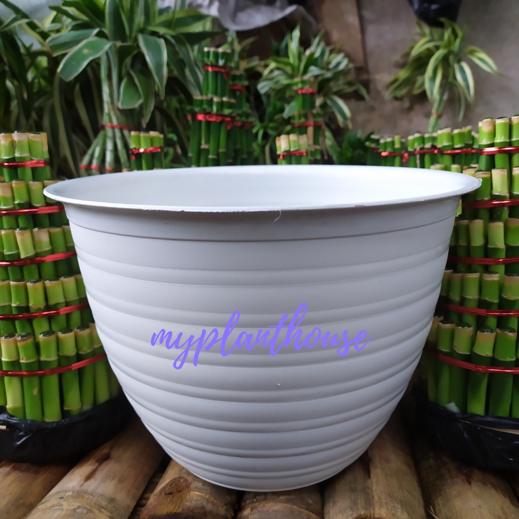 Pot Tawon 25 Putih | Pot Plastik Model Tawon | Pot Tanaman Bunga