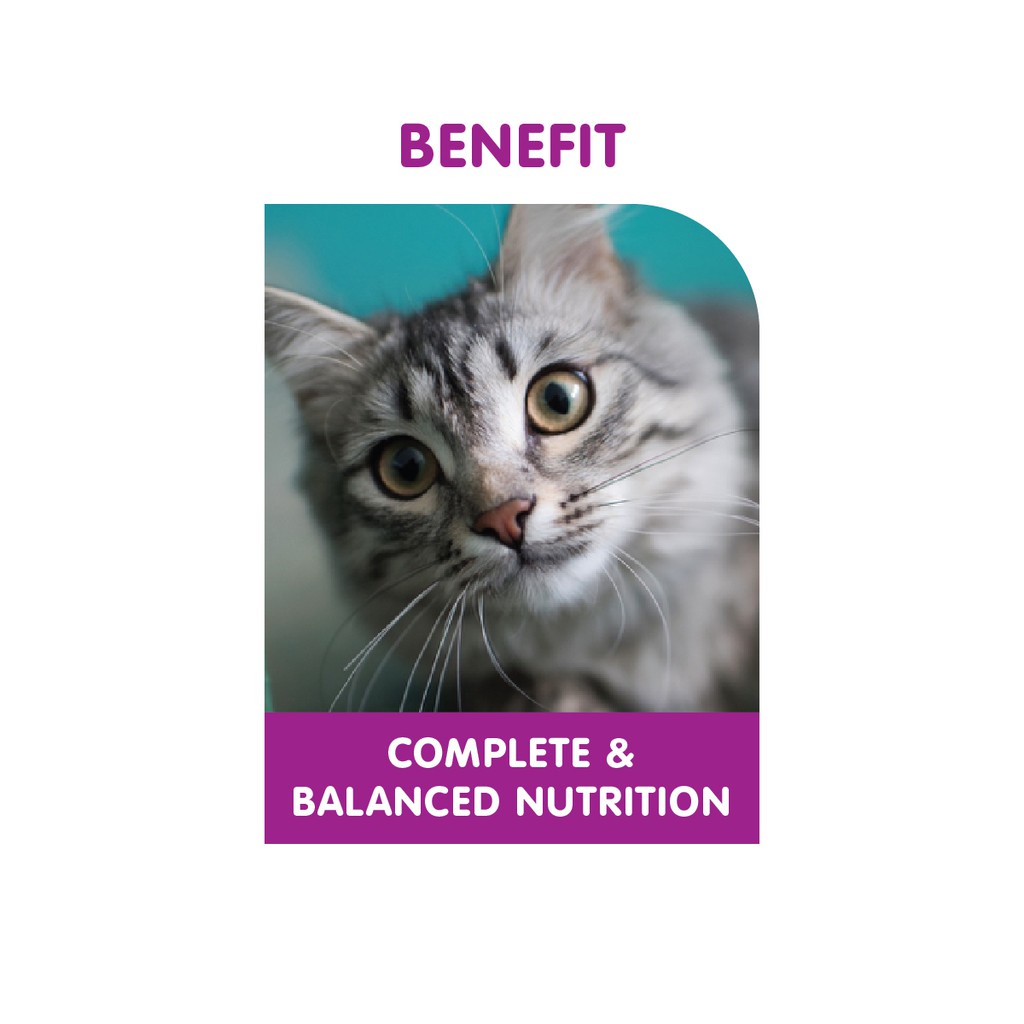 WHISKAS® Makanan Kucing Basah Pouch 80gr Isi 24-4