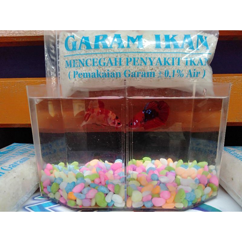 

Garam Ikan