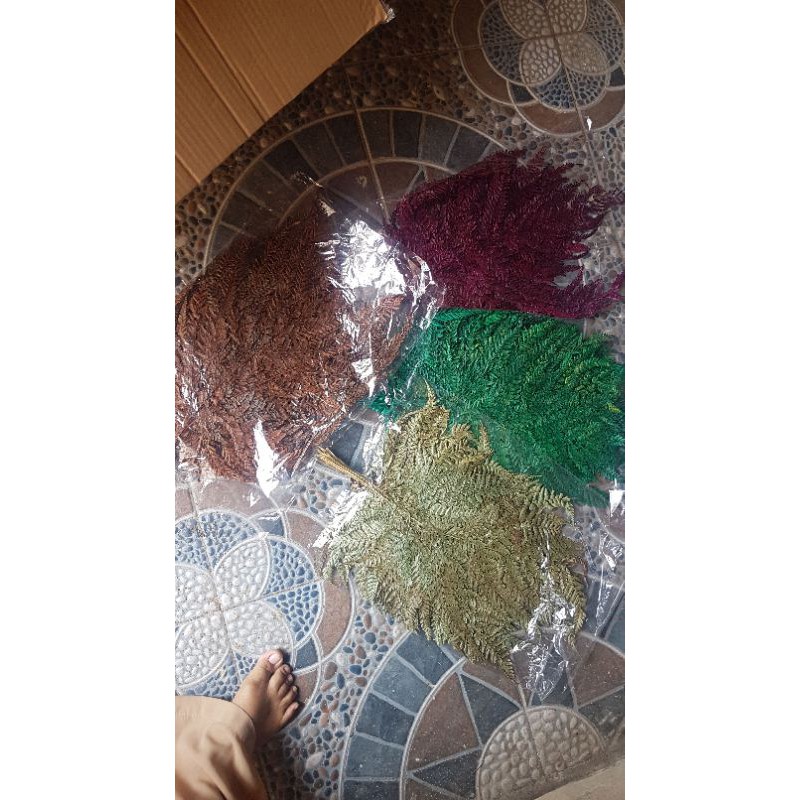 GROSIR 10 IKAT DAUN PAKIS DAUN PAKU