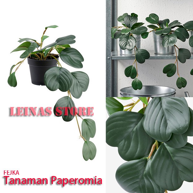 Tanaman Artificial Hias Gantung Paperomia / Tanaman Love Artificial Paperomia