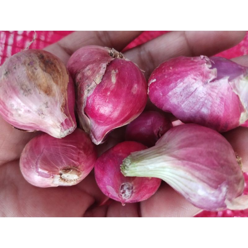 

Bawang Merah Lokal kering