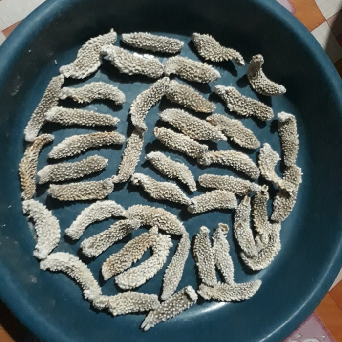 

TERIPANG DURI HAISOM QUALITY / TERIPANG LAUT / TERIPANG GAMAT KERING - 750 gram