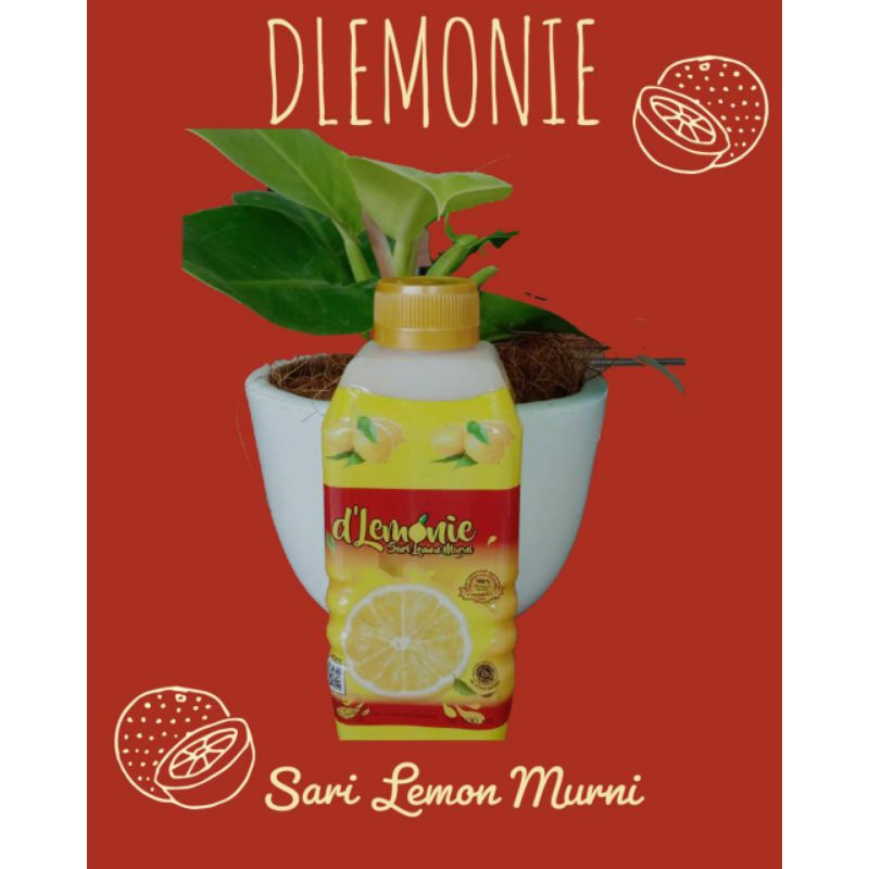 D'LEMONIE