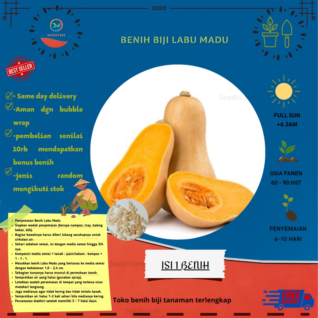 1 Benih labu Madu - Waluh F1