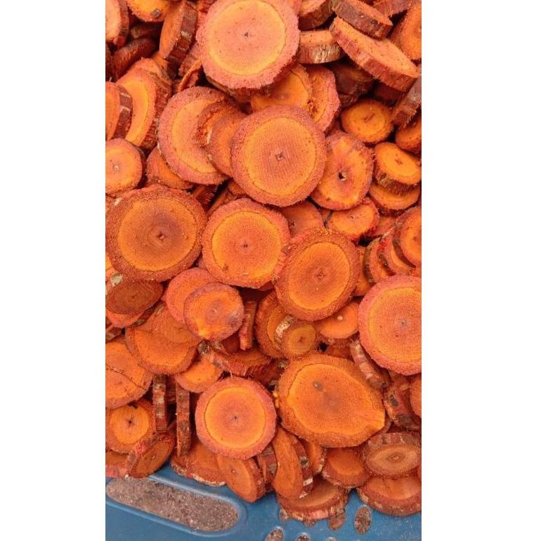 

Akar Kayu Bajakah Tampala Merah Super Siap Seduh Obat Tumor dan Kanker (100% ORIGINAL) Asli Kalimantan (KODE 2284)