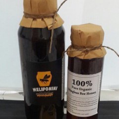

Madu Meliponini 500ml