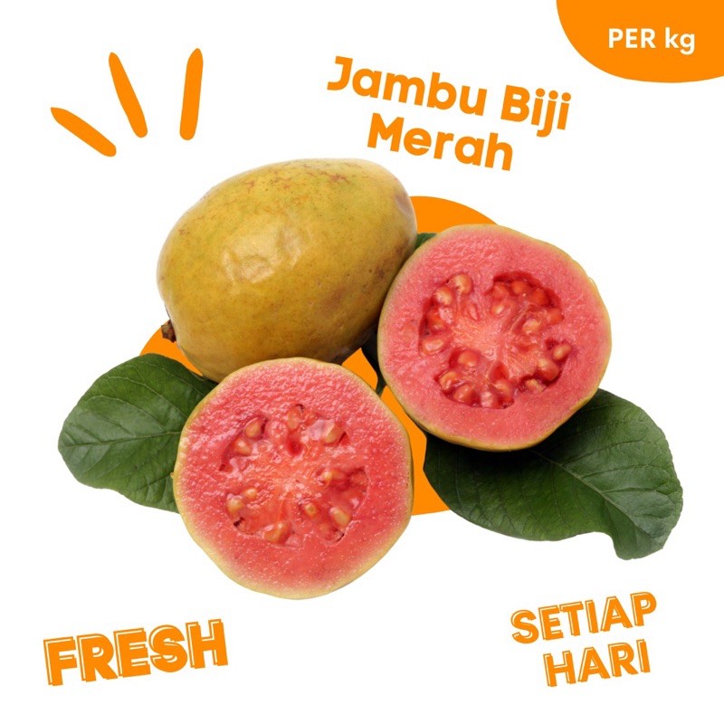 

Buah buahan online Makassar JAMBU BIJI MERAH FRESH SEGAR murah