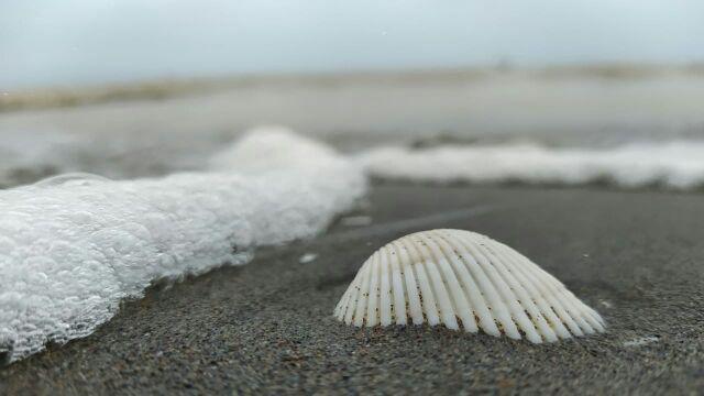 Bitec Sgm3000 Mini Grinder Mesin Gerinda Mini Tuner Sgm 3000