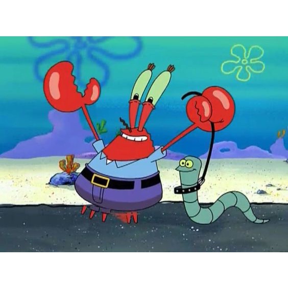 Jual WORM PET SPONGEBOB BISA DIMAKAN [PREMIUM PRODUCT] Shopee Indonesia