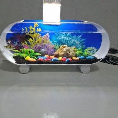 ➲ Aquarium mini pvc/akrilik/aquarium untuk ikan kecil/aquarium unik/dekorasi ruangan ♥