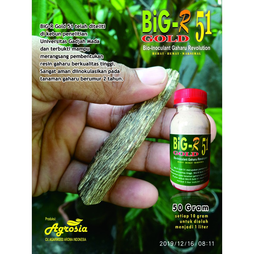 BiG-R Gold 50 gram - Inokulan Gubal Gaharu Super - untuk Aquilaria dan Gyrinops