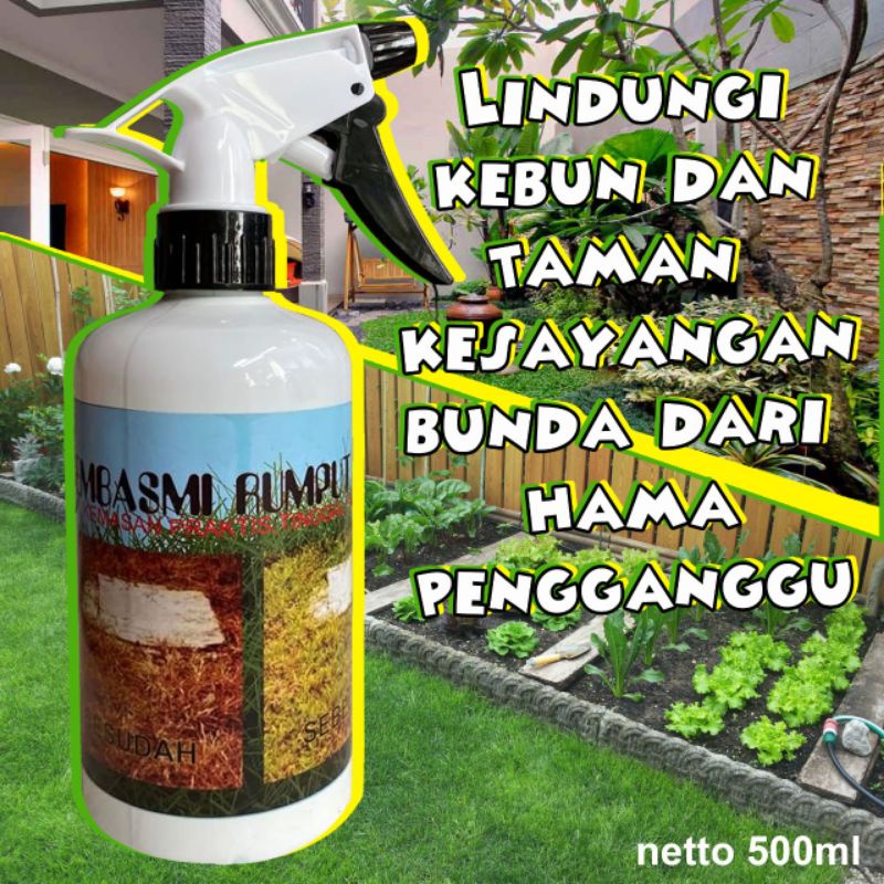 Pembasmi Rumput Liar Gulma Ilalang 500ML Sampai ke akarnya Semprotan Basmi Rumput Liar Gulma - alajelekkk