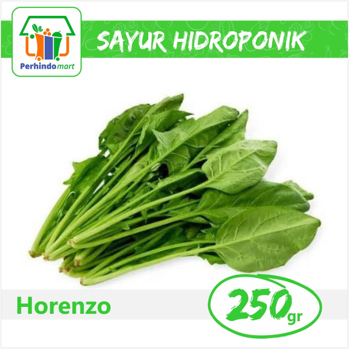 

Bayam Jepang Hidroponik (Surabaya & Sidoarjo only)