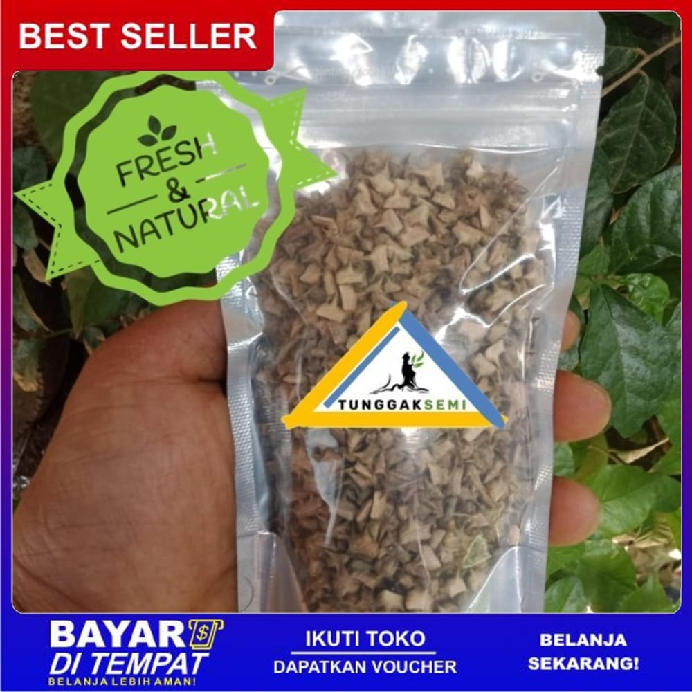 

Ts Murah Murah 200g Biji TRIBULUS TERRESTRIS Kering Testosteron Libido Booster