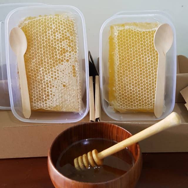 

Madu sarang berkah