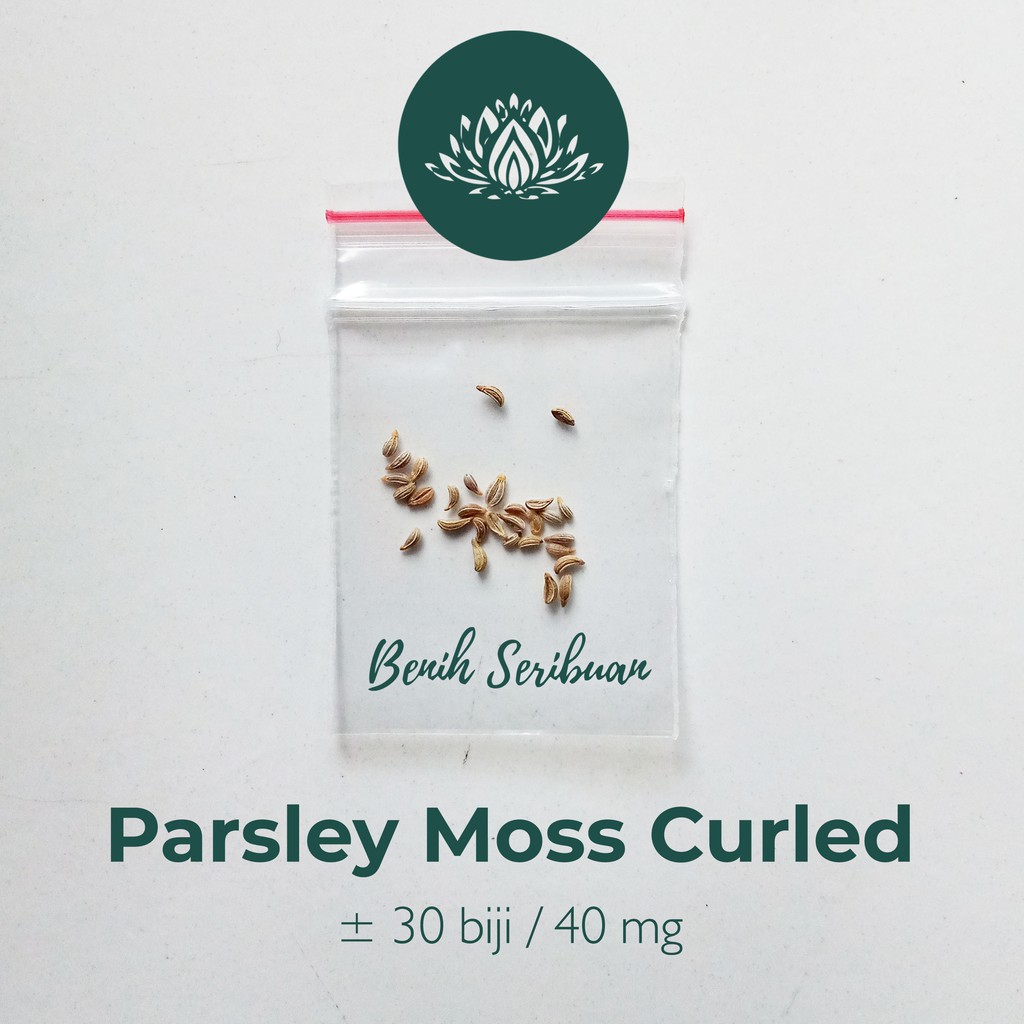 30 Bibit Parsley Moss Curled Keriting Benih Sayuran Peterseli Green MPASI Gizi Bayi Tanaman Sayur