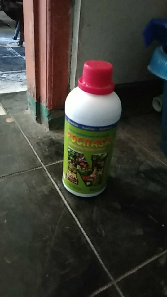Poc  Vitamin Dan Nutrisi Tanaman Dan Hewan