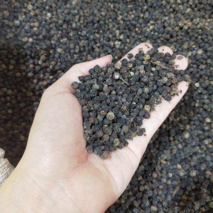 

Miliki Biji Lada Hitam 500 G Gram / Whole Black Pepper Murni Asli!!