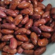 

Kacang Merah / Kacang rendang berkualitas
