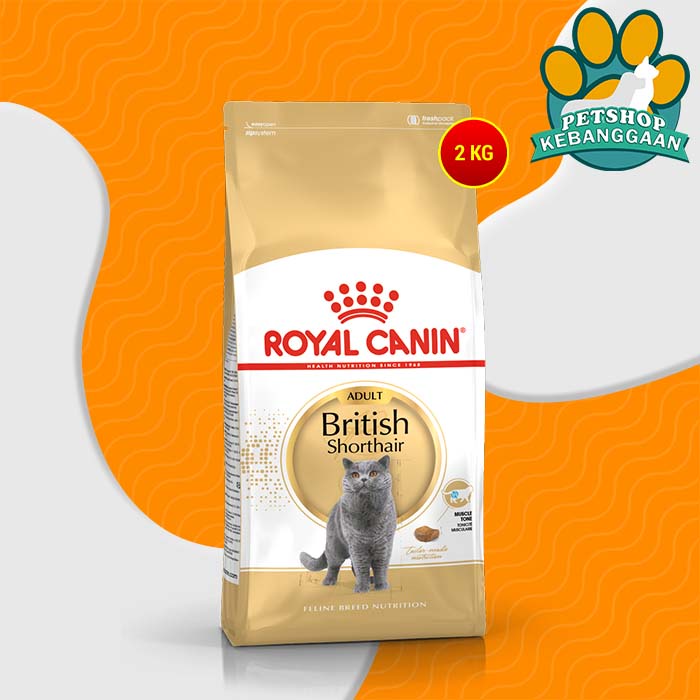 Makanan Kucing Royal Canin British Shorthair Adult 2 Kg Cat Food British