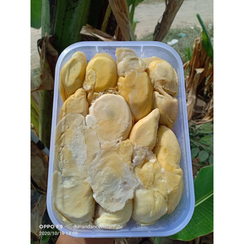

Durian kupas medan