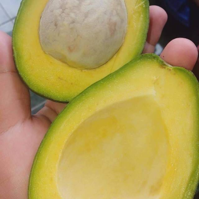 

ALPUKET MENTEGA MURIA