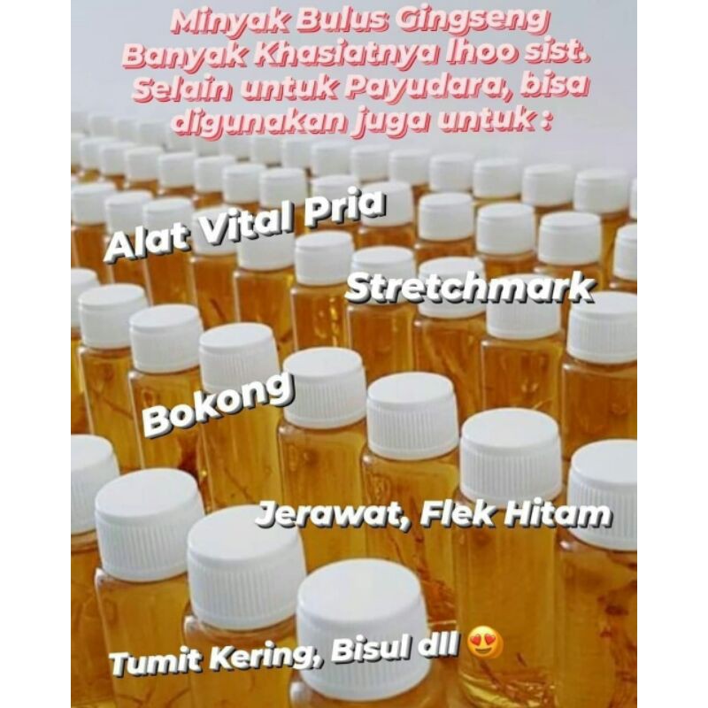 minyak bulus