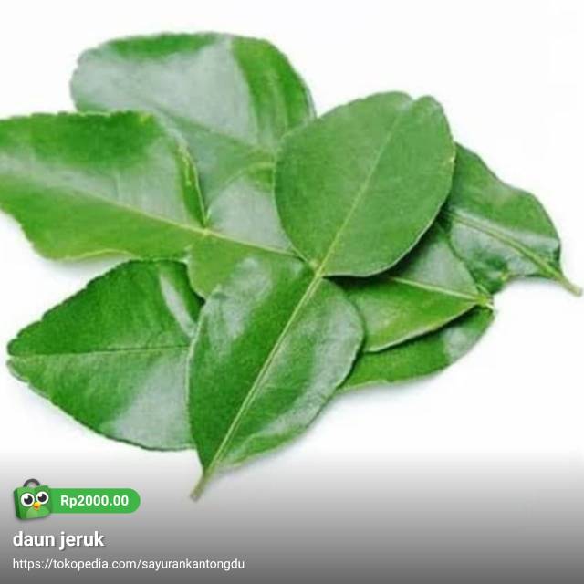 

Daun jeruk 10gram