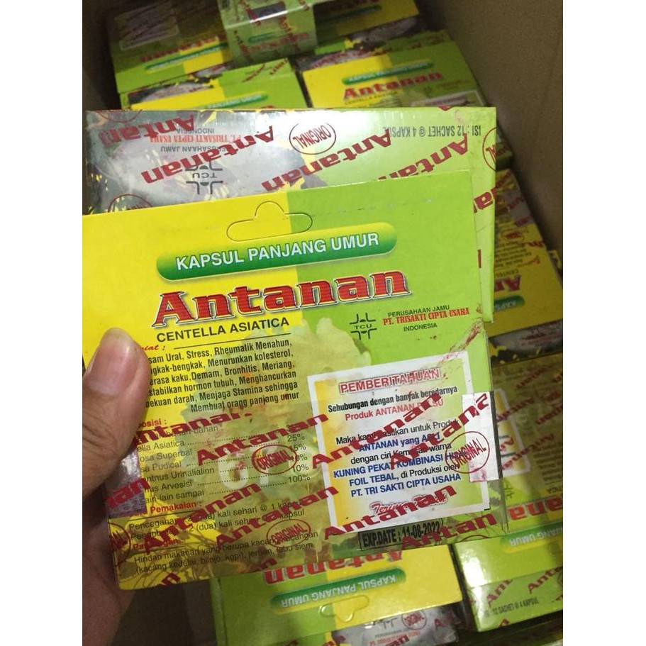 

JAMU ANTANAN KEMASAN KAPSUL(ASLI) UNTUK ASAM URAT, RHEUMATIK DLL