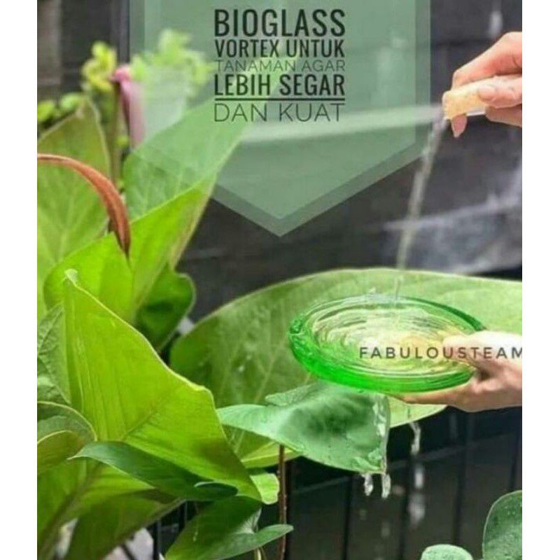 BIOGLASS DIAMOND SHAPE MCI/BIOGLASS ORI/BIOGLASS ASLI/BIOGLAS KESEHATAN/DISTRIBUTOR MCI/OFFICIAL MCI