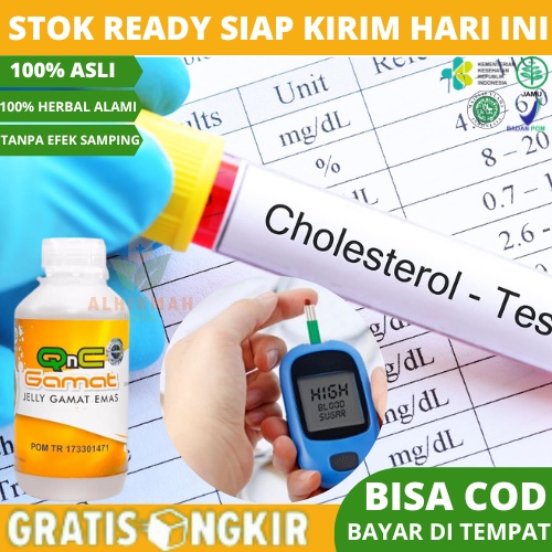 Obat Menurunkan Kolesterol dan Darah Tinggi, Obat Kolesterol Tinggi, Obat Lemak Darah, Obat Kolester