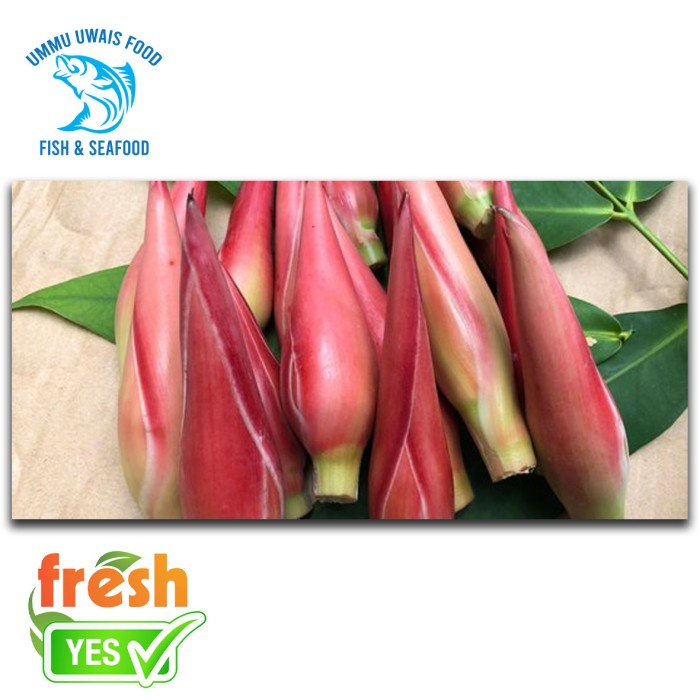 

Kecombrang Segar - 250 Gram