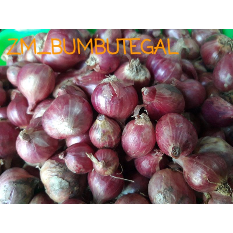 

BAWANG MERAH BREBES, BAWANG MERAH LOKAL 250Gr / ¼ Kg