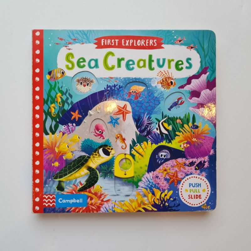Sea Creatures (Campbell First Explorers)