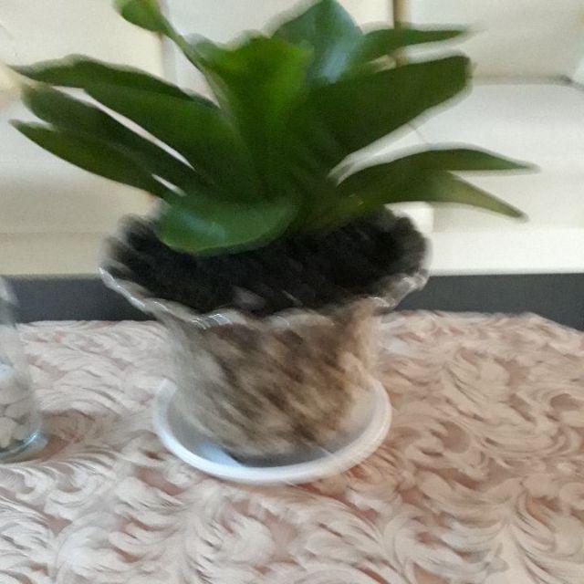 Diskon  Sarung Bantal Guling Waterproof Anti Air Tungau Dan Debu