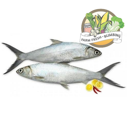 

Ikan Bandeng 450-550gr Farm Fresh